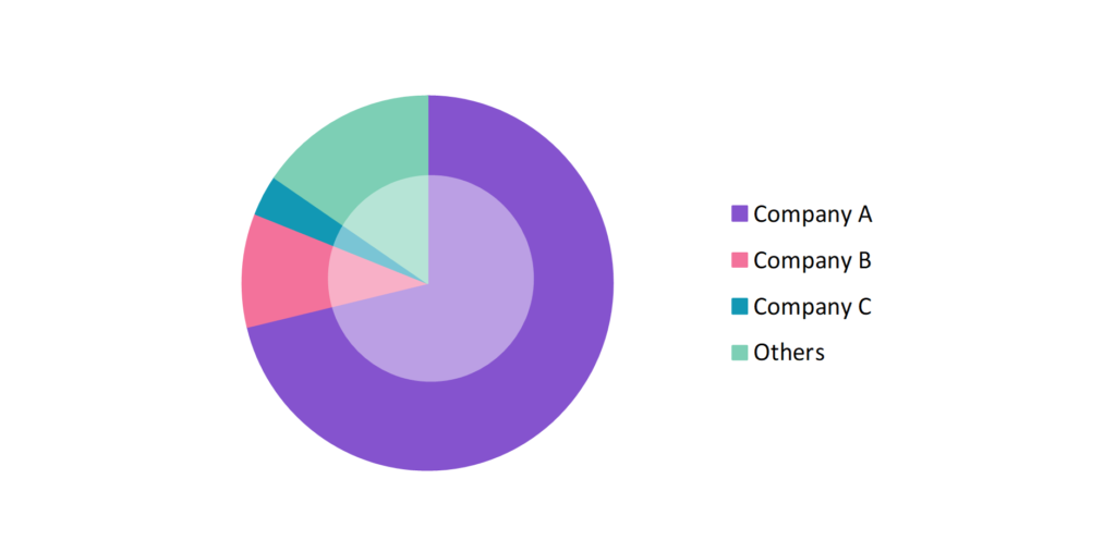 Global Smart Ring Market Share 